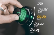  SHA-256